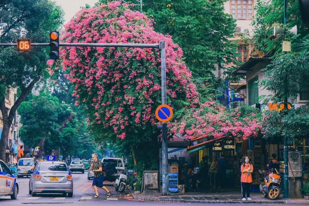 Tropical Land Little Hanoi Homestay Zewnętrze zdjęcie