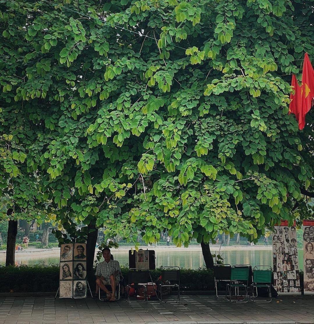 Tropical Land Little Hanoi Homestay Zewnętrze zdjęcie