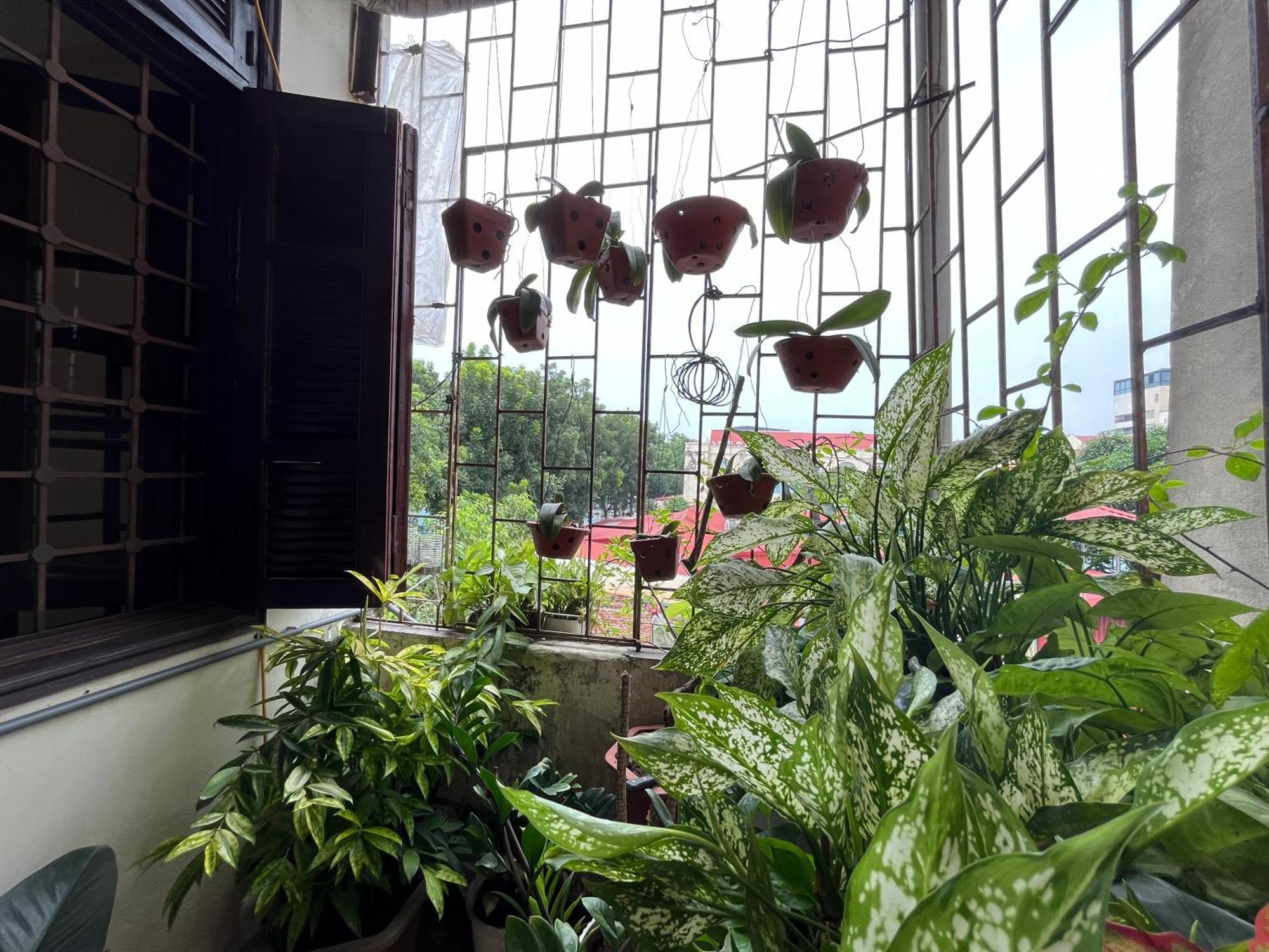 Tropical Land Little Hanoi Homestay Zewnętrze zdjęcie